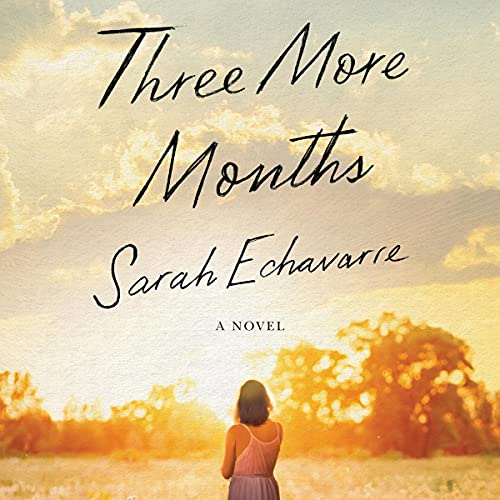 Three More Months Audiobook