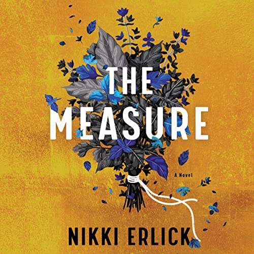 The Measure Audiobook